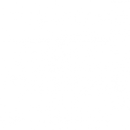 Completely Custom Logo