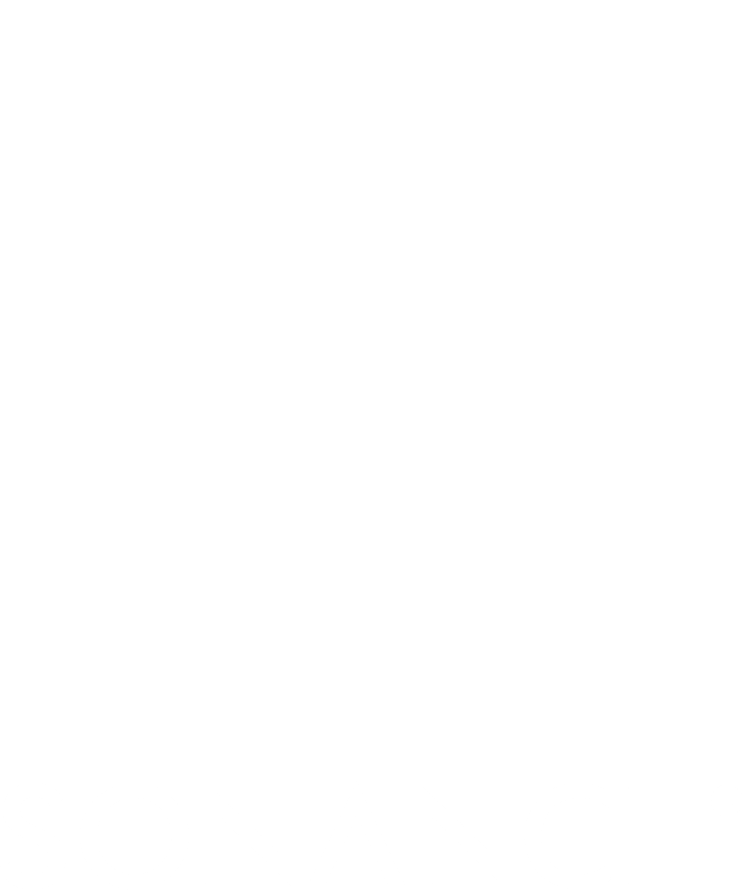 Completely Custom Logo